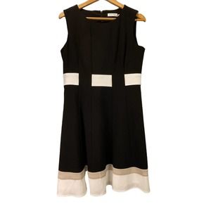 Calvin Klein Mod Fit & Flare Sleeveless Dress Size 12P
